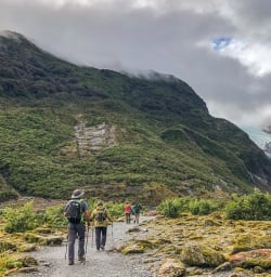 Walking the Fox Glacier Valley Track, West Coast New Zealand
