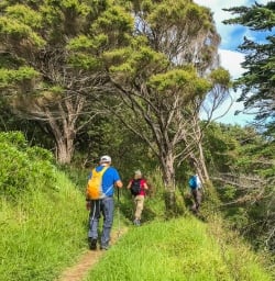 Walking at Waiheke Island Auckland New Zealand