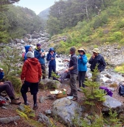 Rest at Arthurs Pass