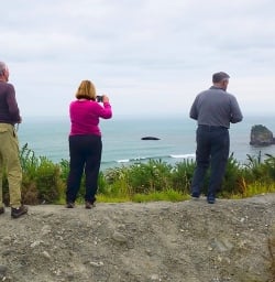 Taking in the sights at Punakaiki