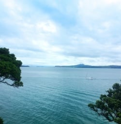 What we Kiwi's like to call a pretty sweet view!