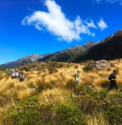 Walking the Arthur's Pass National Park