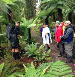 guide and walkers on the hollyford track new zealand