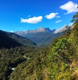 Hollyford track Valley from Pop's View lookout