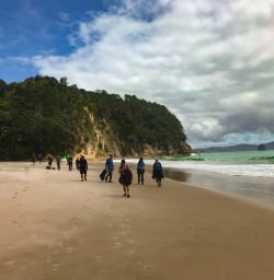 2 Exploring the North Island beaches
