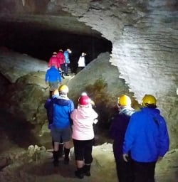 Getting further into the Nile River Glowworm Caves