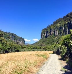 paparoa national park new zealand