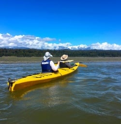 This place never disappoints. Stunning views of the Southern Alps and the wild west coast