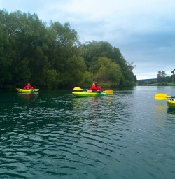 Kayaking the mighty Waikato River