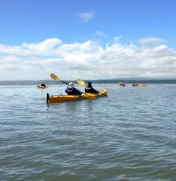 kayaking at okarito lagoon new zealand