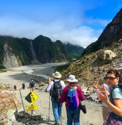 The Fox Glacier track lets you see some glacial action and landforms up close