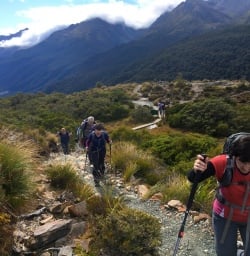 4 hiking hollyford track fiordland southland