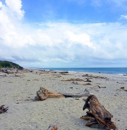 view at ship creek new zealand