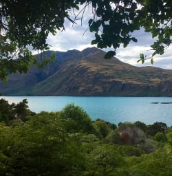 The serene Mou Waho Island Nature reserve in Lake Wanaka