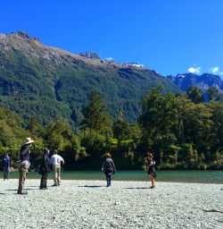 6 hollyford track river fiordland southland2