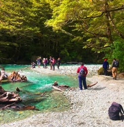 Routeburn Track River