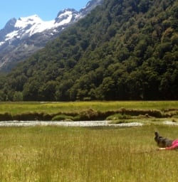 resting at routeburn flats