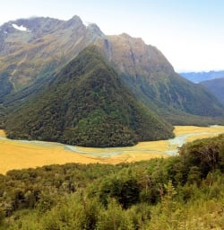 View on Routeburn Track valley