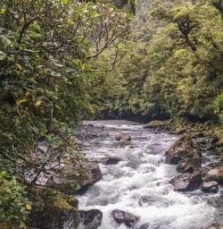 The Chasm, Cleddau river, Fiordland New Zealand