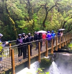 Everyone crossing the Chasm Bridge at Cleddau River