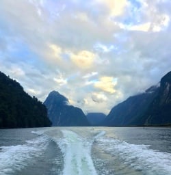 Heading back into port at the incredible Milford Sound. The weather is always part of the show here.