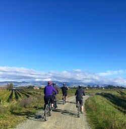 9 cycle marlborough vineyards new zealand
