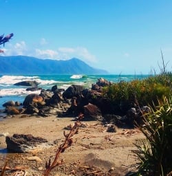 The stunning Martins Bay coast on the Hollyford track 