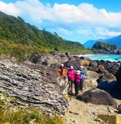 Martins Bay Seal Colony