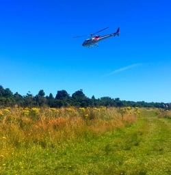 Arriving in style
