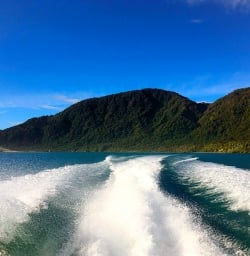 Jetboating along the Hollyford River away from Martin's Bay