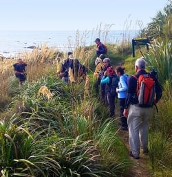 Hikers at Martins Bay