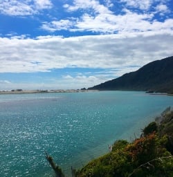 Martins Bay