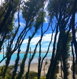 Gorgeous views through the bush to the sand bar and the Tasman beyond at Martins Bay