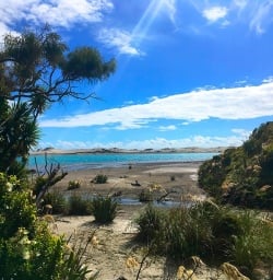 More of those Martins Bay colours!