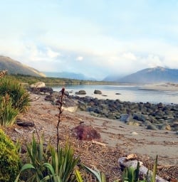 View on Martins Bay