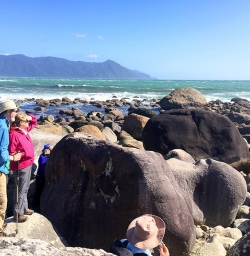 martins bay seal colony new zealand