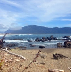 martins bay