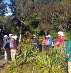 hikers getting ready to walk the milford track