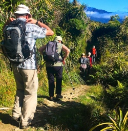 The team winding their way through the beautiful bush