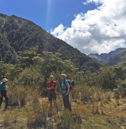 Hikers in Arthurs Pass sunshine
