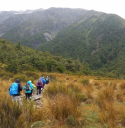 Hiking in Arthur's Pass