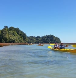 Okarito Lagoon 
