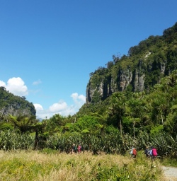 Hiking within Paparoa National Park