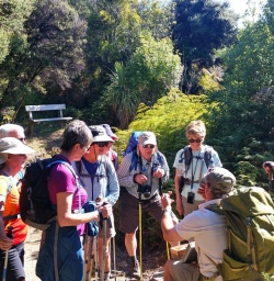 Guide showing a Skink to group