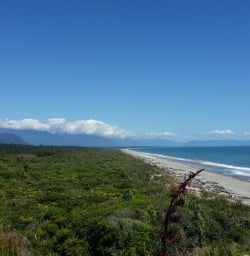 Tranquil West Coast Beach