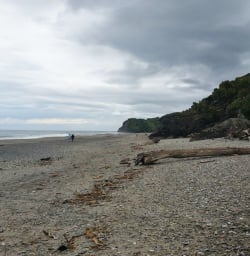 West Coast Beach New Zealand