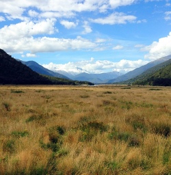 view on eglinton valley new zealand