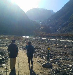 fox glacier hiking