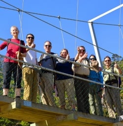 hikers crossing the hollyford track bridge