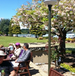 lake te anau lunch